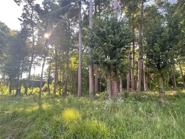 a backyard of a house with lots of green space and fountain