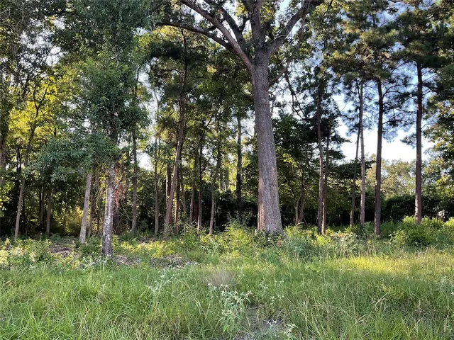 a view of backyard with green space