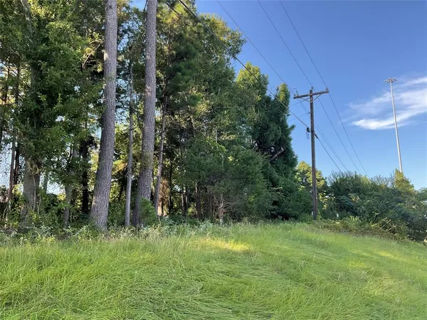 a view of a back yard