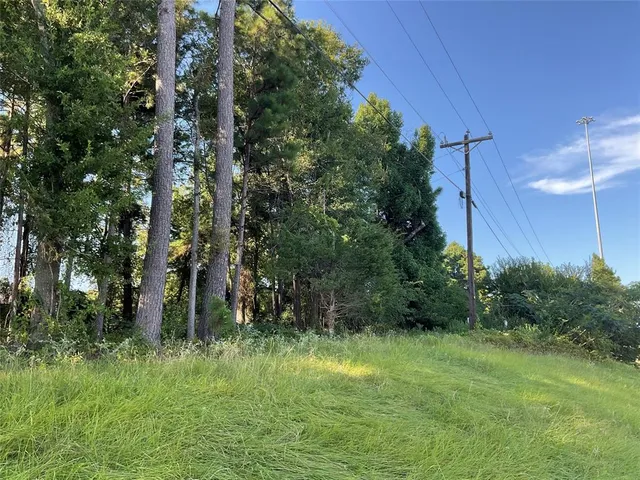 a view of a back yard