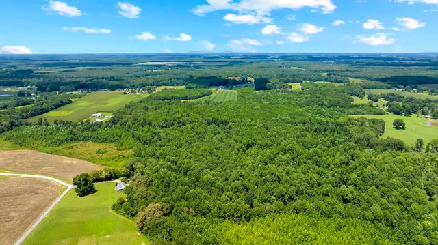$1,299,900 | 411 Bryan Road, Hillsboro, TN 37342