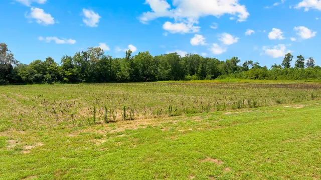 $1,299,900 | 411 Bryan Road, Hillsboro, TN 37342