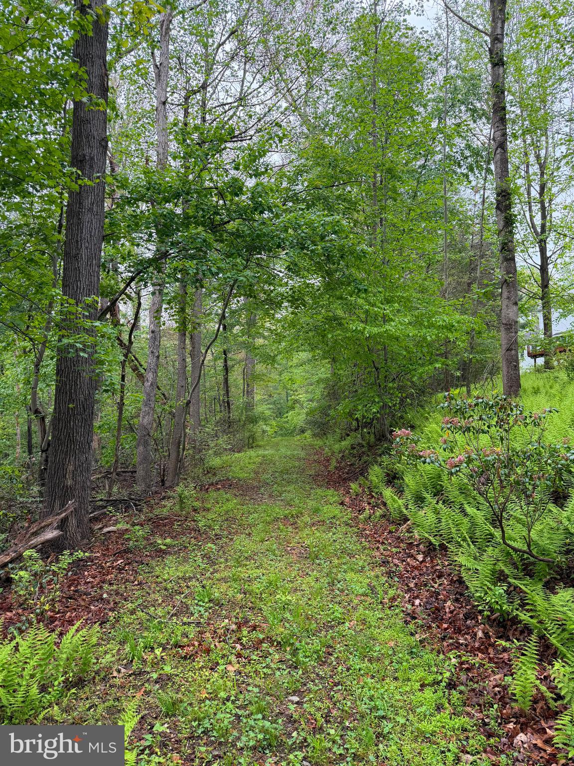15033 Oak Ridge Court Dayton, MD 21036 - Photo 26 of 81 Gallery Image 26