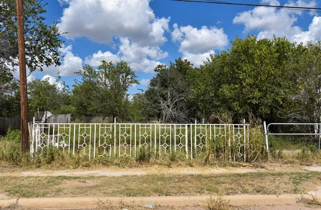 a view of a yard with a large trees