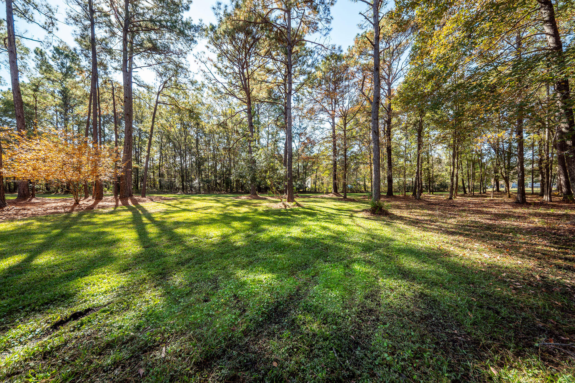 5950 Lowell Reed Road Ravenel, SC 29470 - Photo 109 of 120 109
