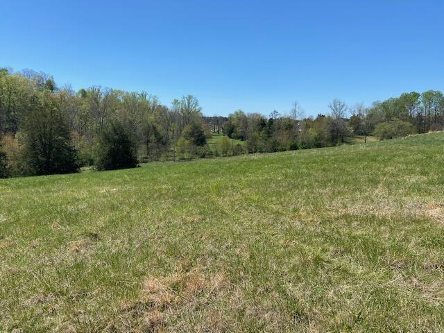 5 Greenhouse Road Glade Hill, VA 24092 - Photo 3 of 3 IMG_3220