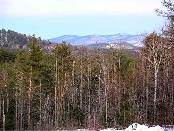 2 Thurston Road Madison, NH 03832 - Photo 1 of 2
