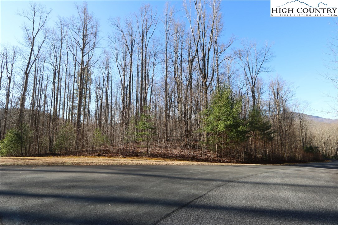 Lot 343 Twin Rivers Drive Boone, NC 28607 - Photo 1 of 33 Gallery Image 1
