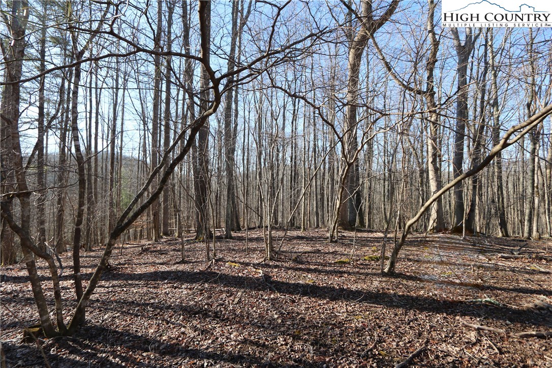 Lot 343 Twin Rivers Drive Boone, NC 28607 - Photo 13 of 33 Gallery Image 13
