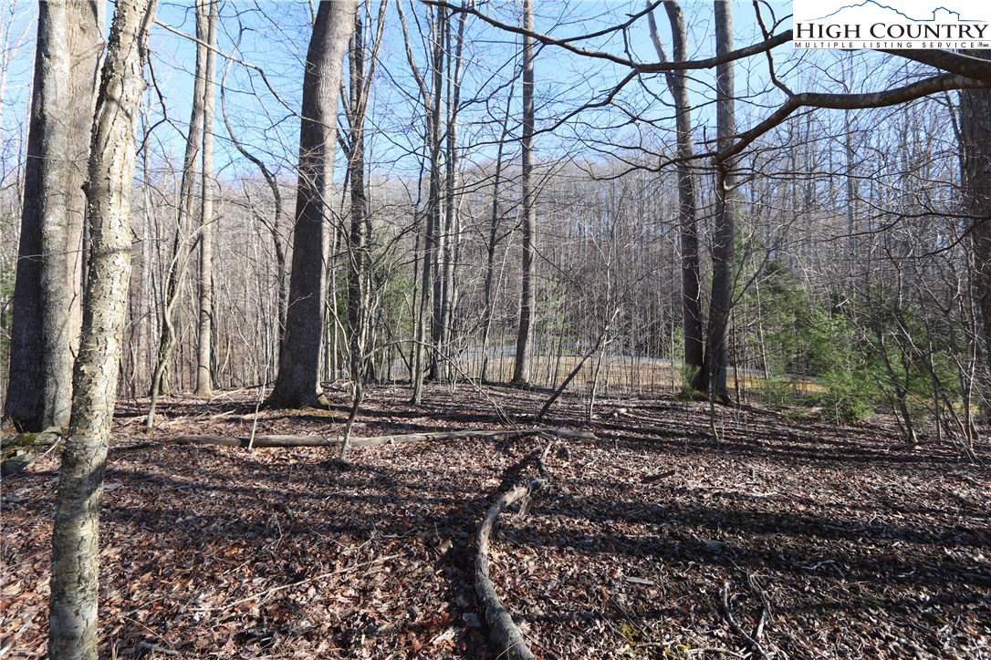 Lot 343 Twin Rivers Drive Boone, NC 28607 - Photo 14 of 33 Gallery Image 14