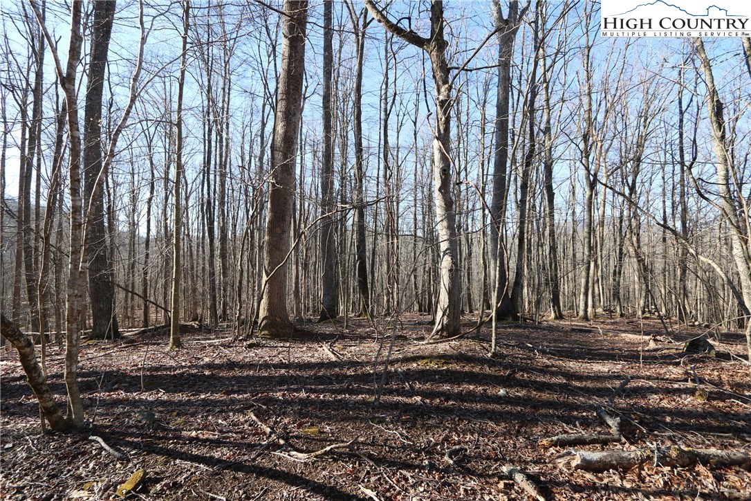 Lot 343 Twin Rivers Drive Boone, NC 28607 - Photo 15 of 33 Gallery Image 15