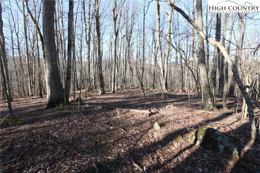 Lot 343 Twin Rivers Drive Boone, NC 28607 - Photo 16 of 33 Gallery Image 16