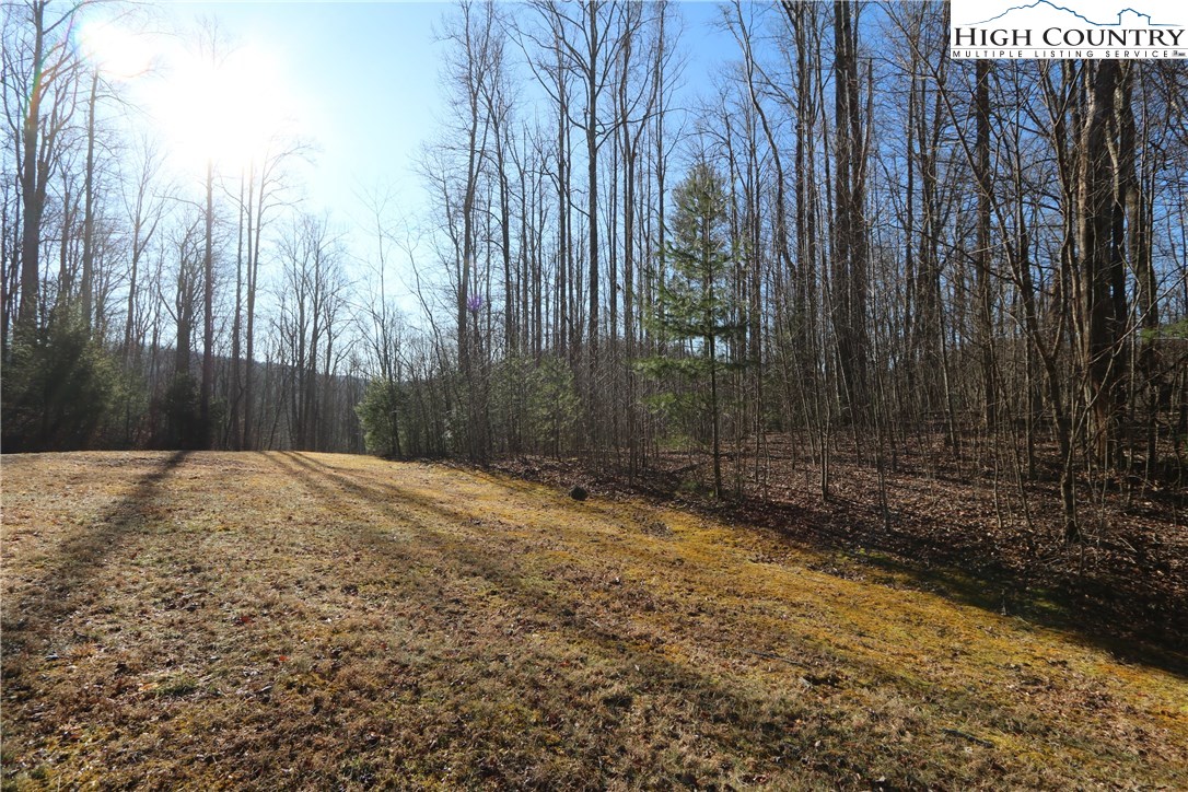 Lot 343 Twin Rivers Drive Boone, NC 28607 - Photo 17 of 33 Gallery Image 17