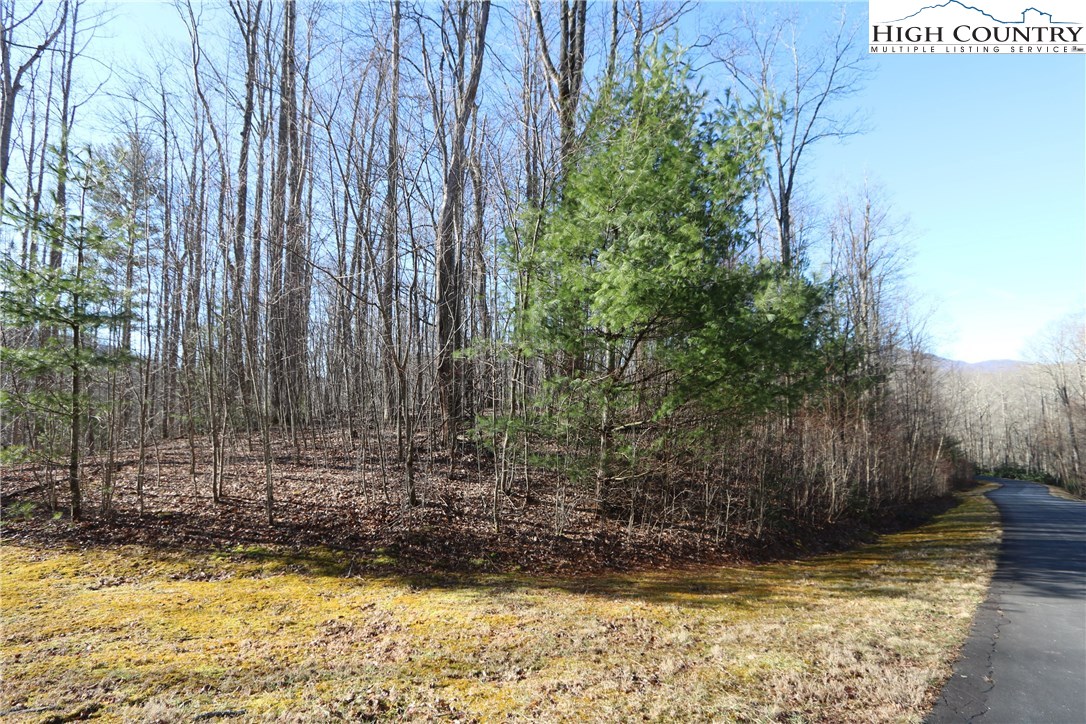 Lot 343 Twin Rivers Drive Boone, NC 28607 - Photo 18 of 33 Gallery Image 18