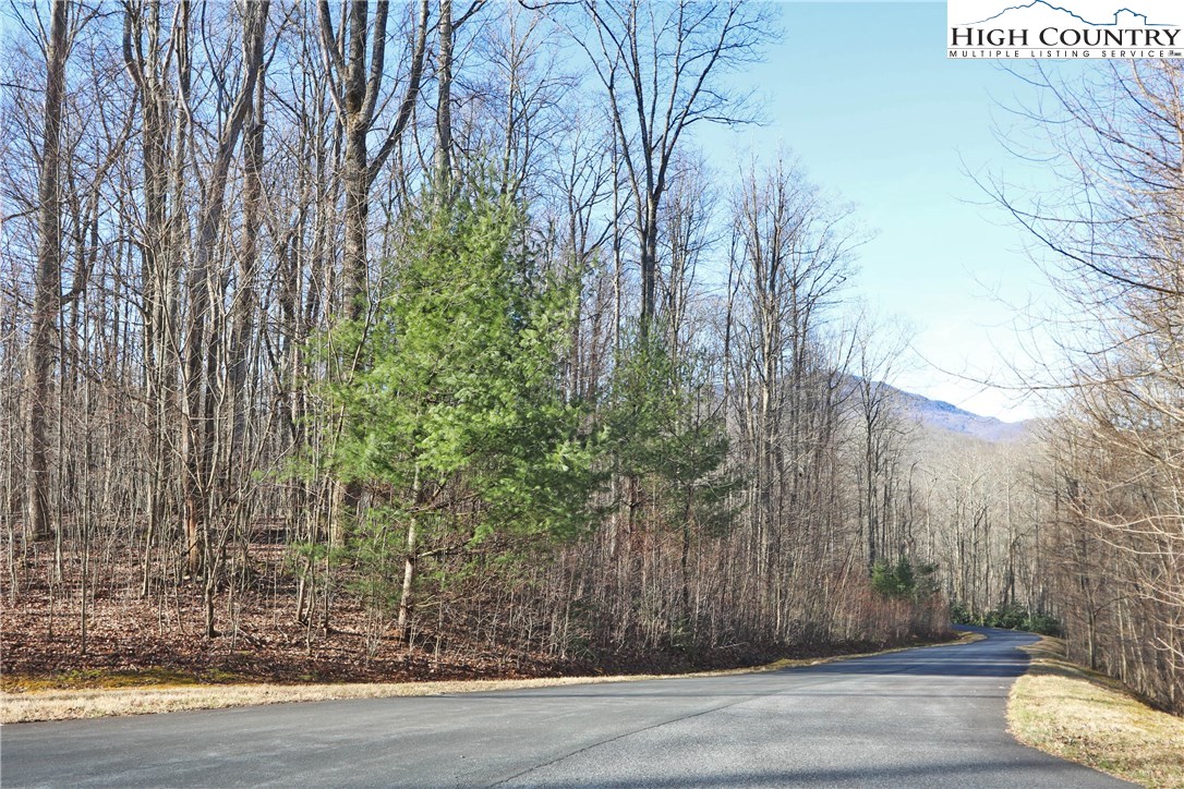 Lot 343 Twin Rivers Drive Boone, NC 28607 - Photo 2 of 33 Gallery Image 2