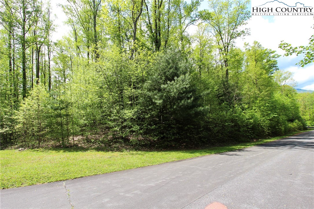 Lot 343 Twin Rivers Drive Boone, NC 28607 - Photo 21 of 33 Gallery Image 21