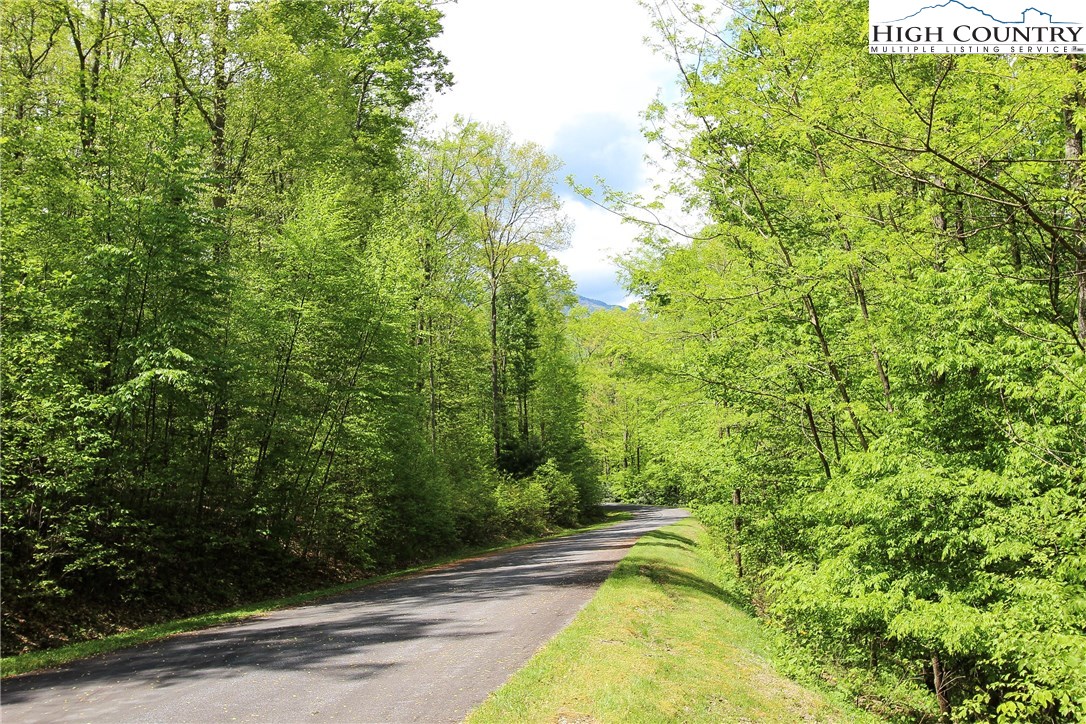 Lot 343 Twin Rivers Drive Boone, NC 28607 - Photo 22 of 33 Gallery Image 22