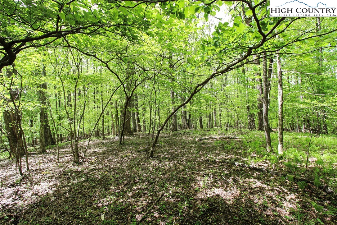 Lot 343 Twin Rivers Drive Boone, NC 28607 - Photo 23 of 33 Gallery Image 23