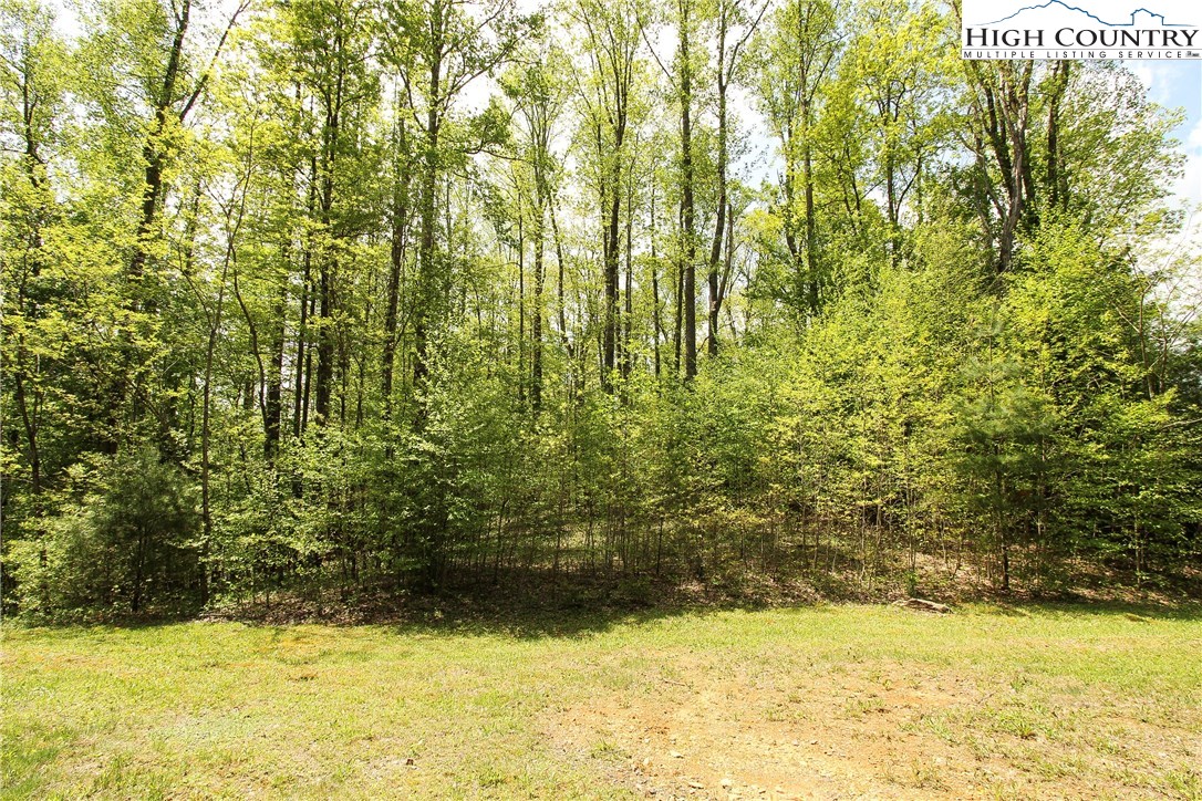 Lot 343 Twin Rivers Drive Boone, NC 28607 - Photo 25 of 33 Gallery Image 25