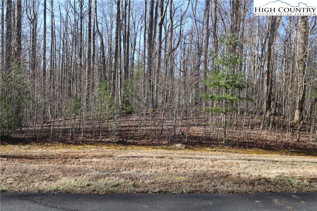 Lot 343 Twin Rivers Drive Boone, NC 28607 - Photo 3 of 33 Gallery Image 3