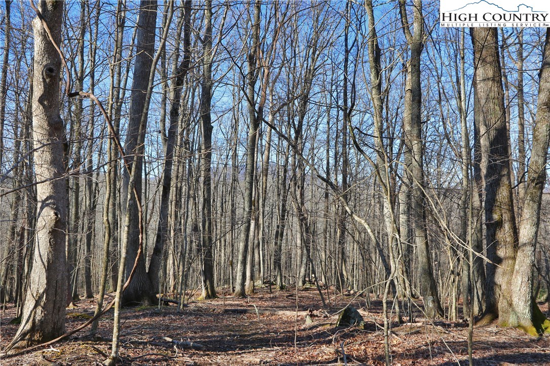 Lot 343 Twin Rivers Drive Boone, NC 28607 - Photo 4 of 33 Gallery Image 4