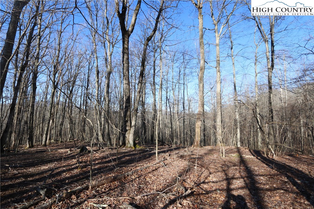 Lot 343 Twin Rivers Drive Boone, NC 28607 - Photo 5 of 33 Gallery Image 5