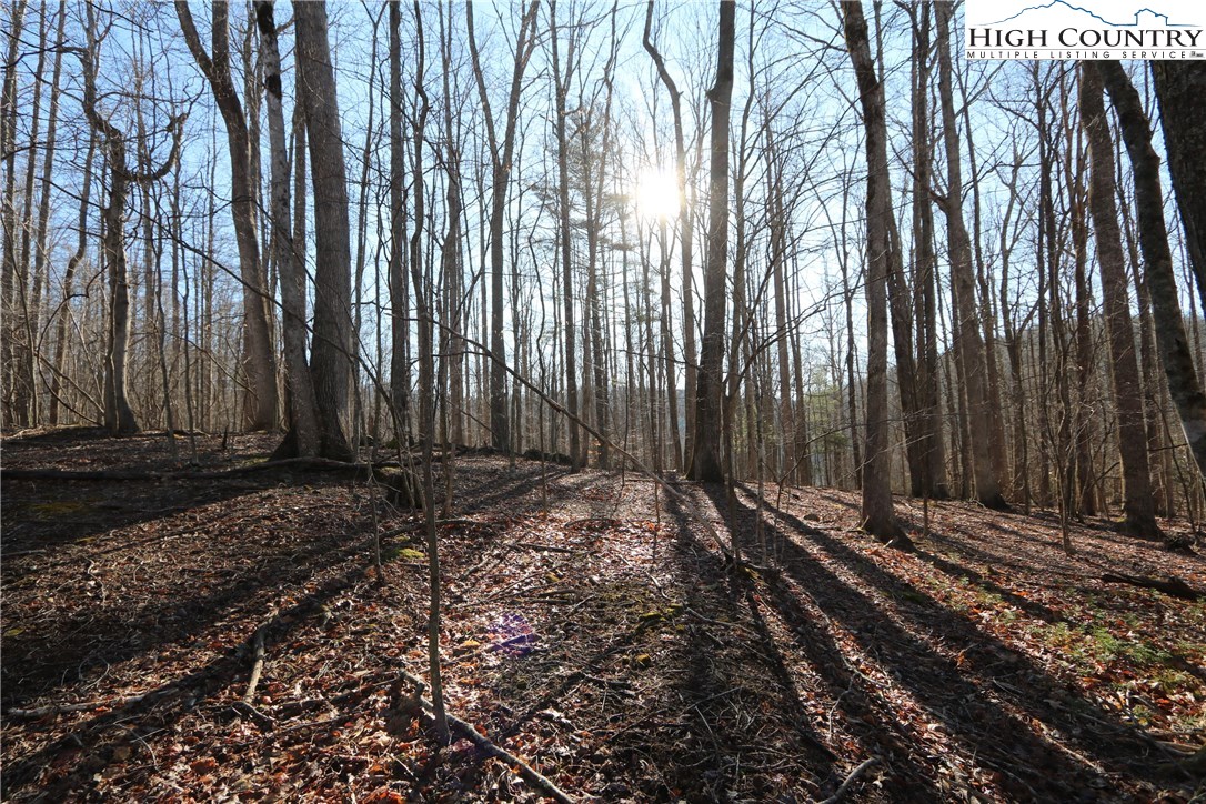 Lot 343 Twin Rivers Drive Boone, NC 28607 - Photo 7 of 33 Gallery Image 7
