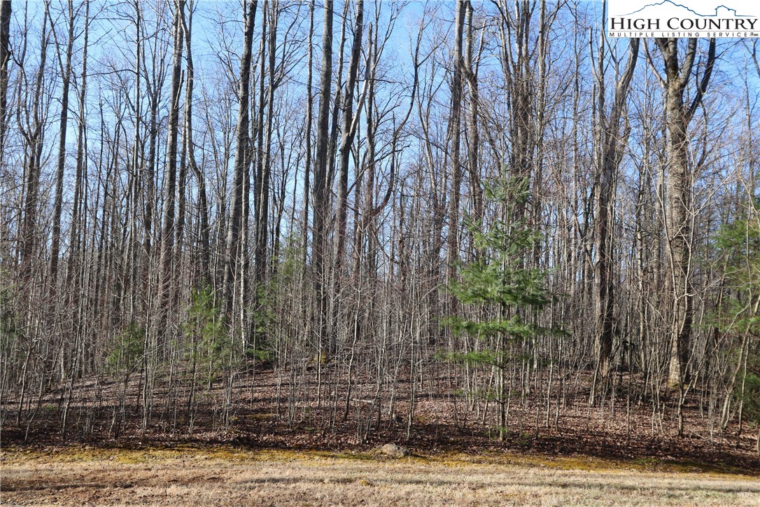 Lot 343 Twin Rivers Drive Boone, NC 28607 - Photo 8 of 33 Gallery Image 8