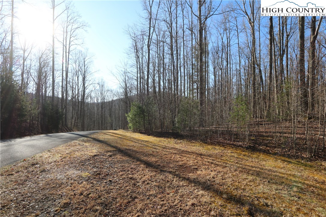 Lot 343 Twin Rivers Drive Boone, NC 28607 - Photo 9 of 33 Gallery Image 9