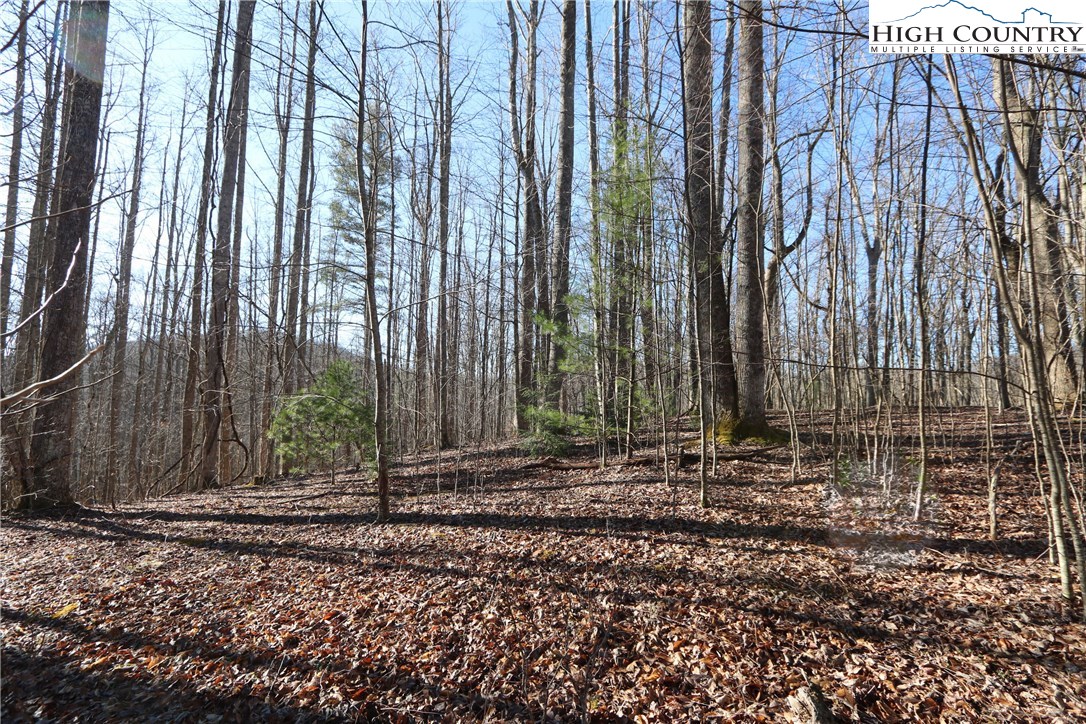 Lot 343 Twin Rivers Drive Boone, NC 28607 - Photo 10 of 33 Gallery Image 10