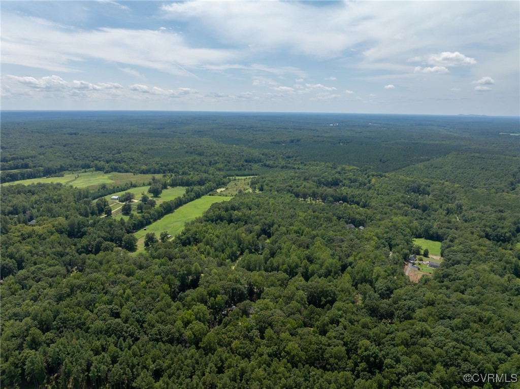 0 Old Tavern Road Powhatan, VA 23139 - Photo 15 of 42 Gallery Image 15