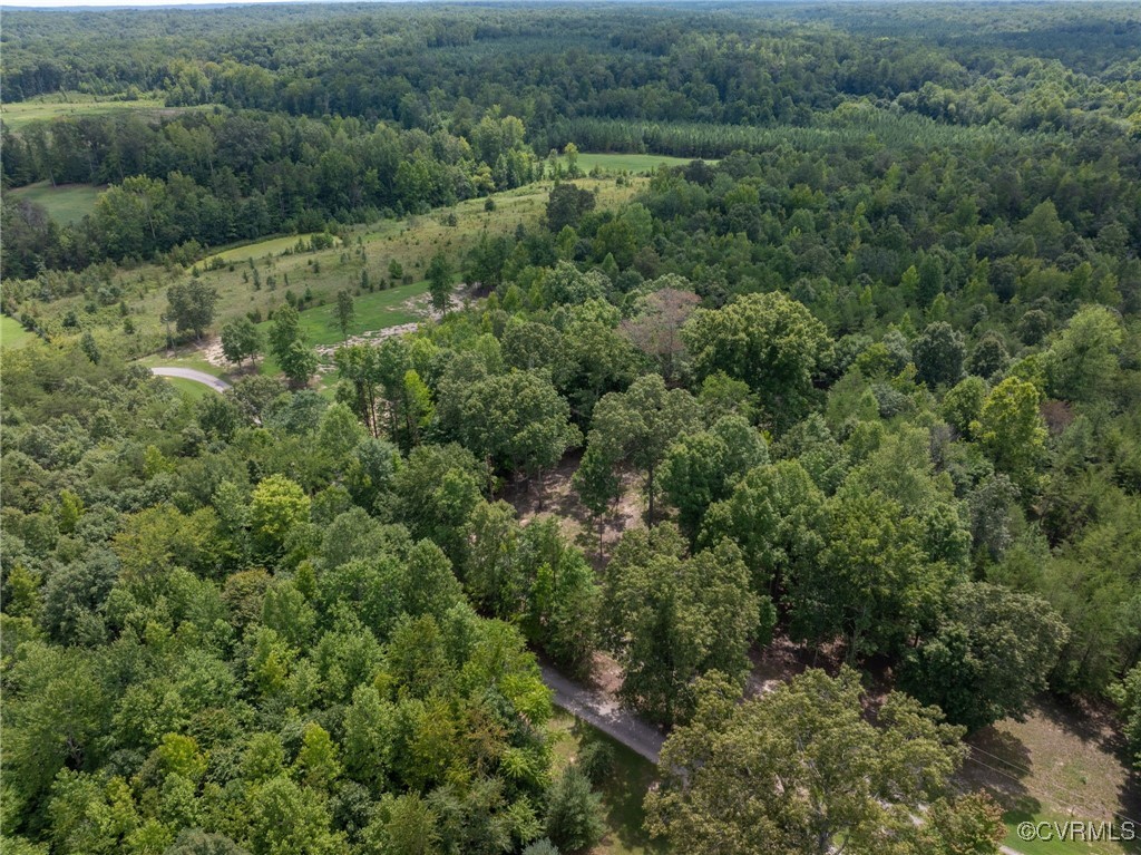 0 Old Tavern Road Powhatan, VA 23139 - Photo 31 of 42 Gallery Image 31