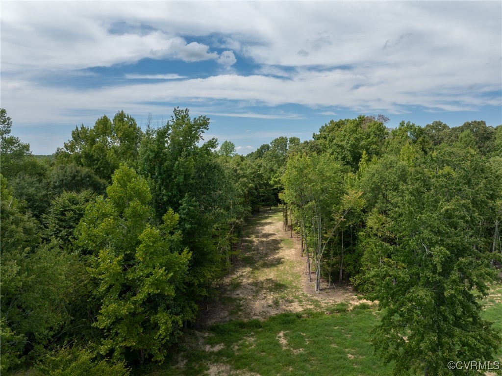 0 Old Tavern Road Powhatan, VA 23139 - Photo 36 of 42 Gallery Image 36