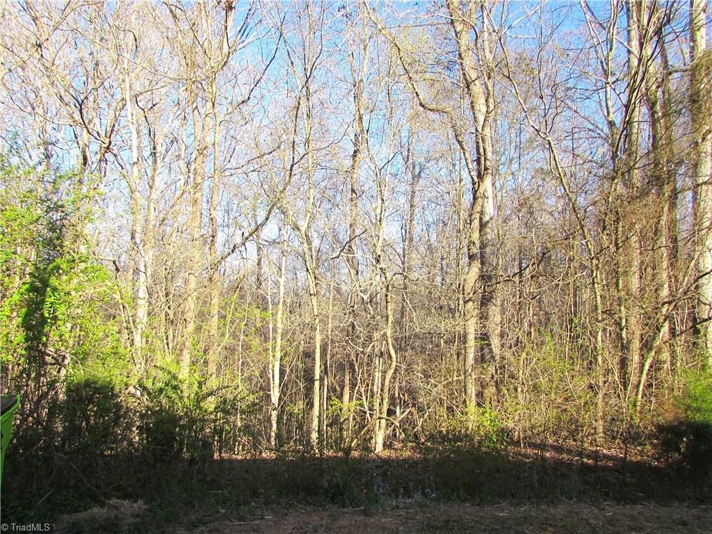 1377 Feezor Road Lexington, NC 27292 - Photo 8 of 20 Gallery Image 8