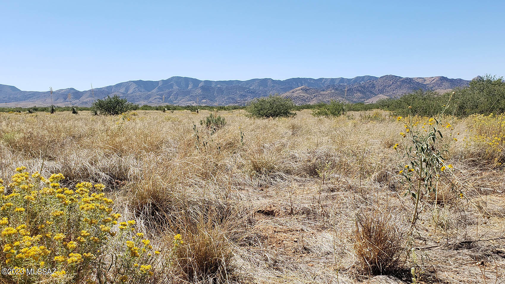 2-lots East Highland Road, Unit 3 & 4 Pearce, AZ 85625 - Photo 8 of 10