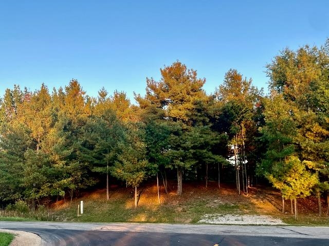 Lot 263 Islanders Way Gladwin, MI 48624 - Photo 1 of 10