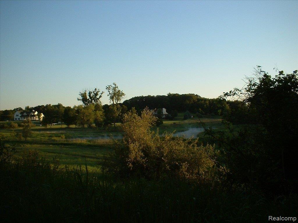 Pond-Property