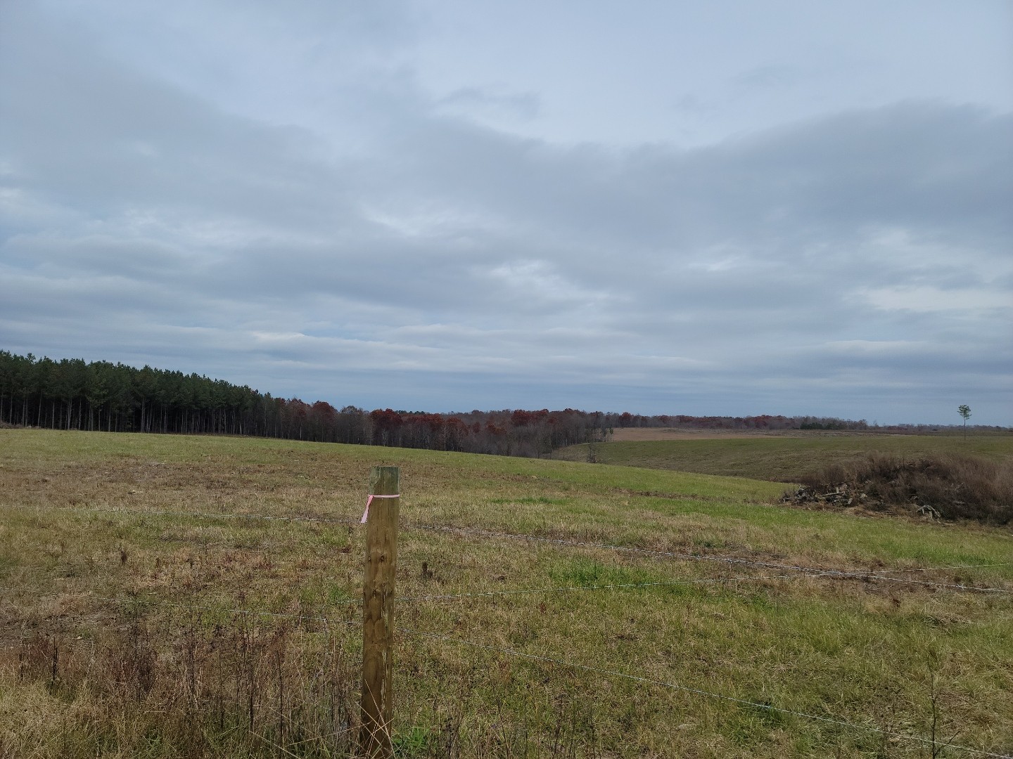 0 Linville Road Lawrenceburg, TN 38464 - Photo 2 of 2 Gallery Image 2