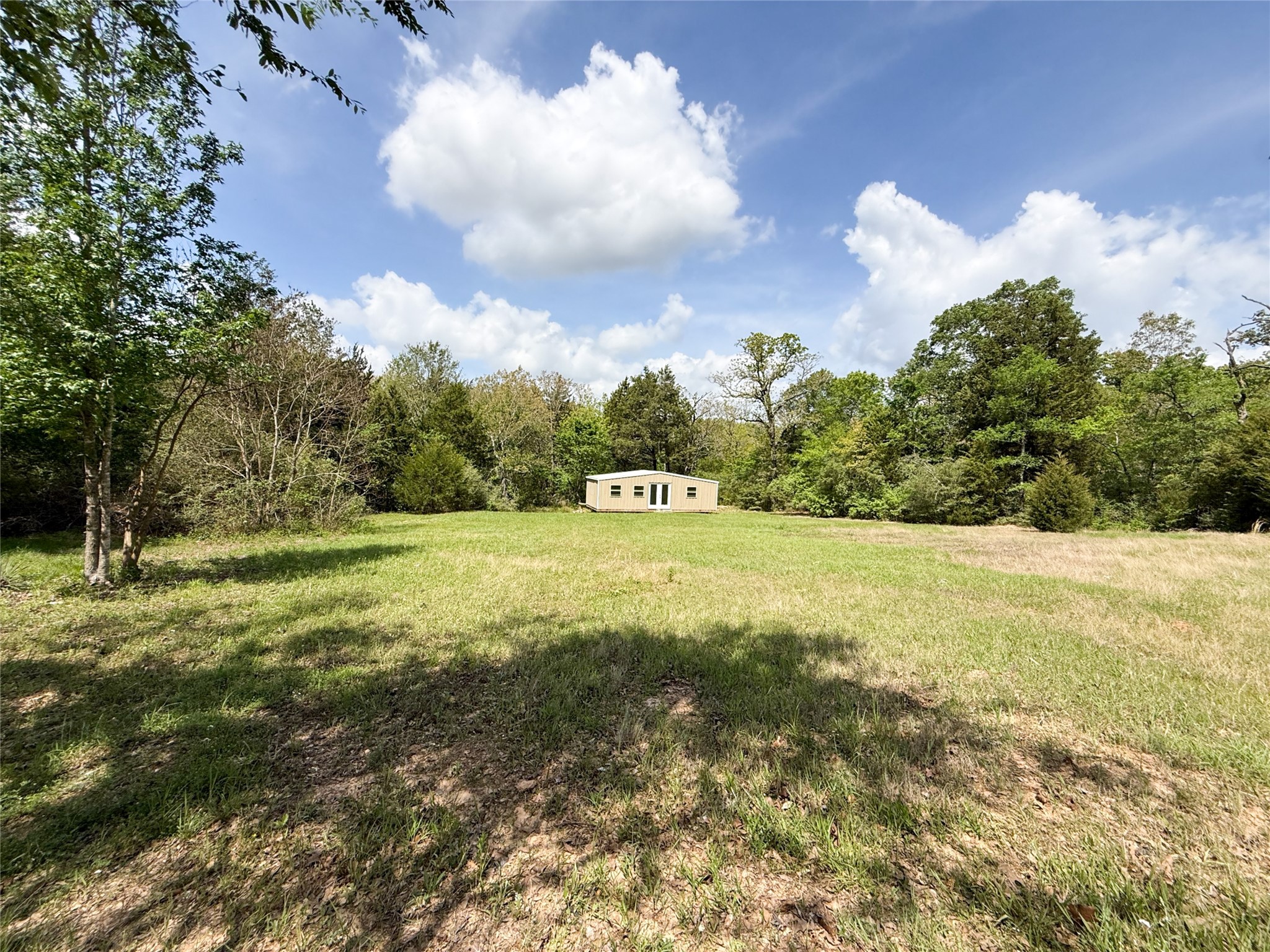 740 Bridget Avenue Buffalo, TX 75831 - Photo 18 of 50 a view of a big yard with lots of green space