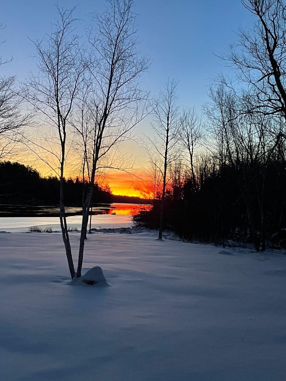 12 Back Ridge Road Orland, ME 04472 - Photo 46 of 65 thumbnail_IMG_6854