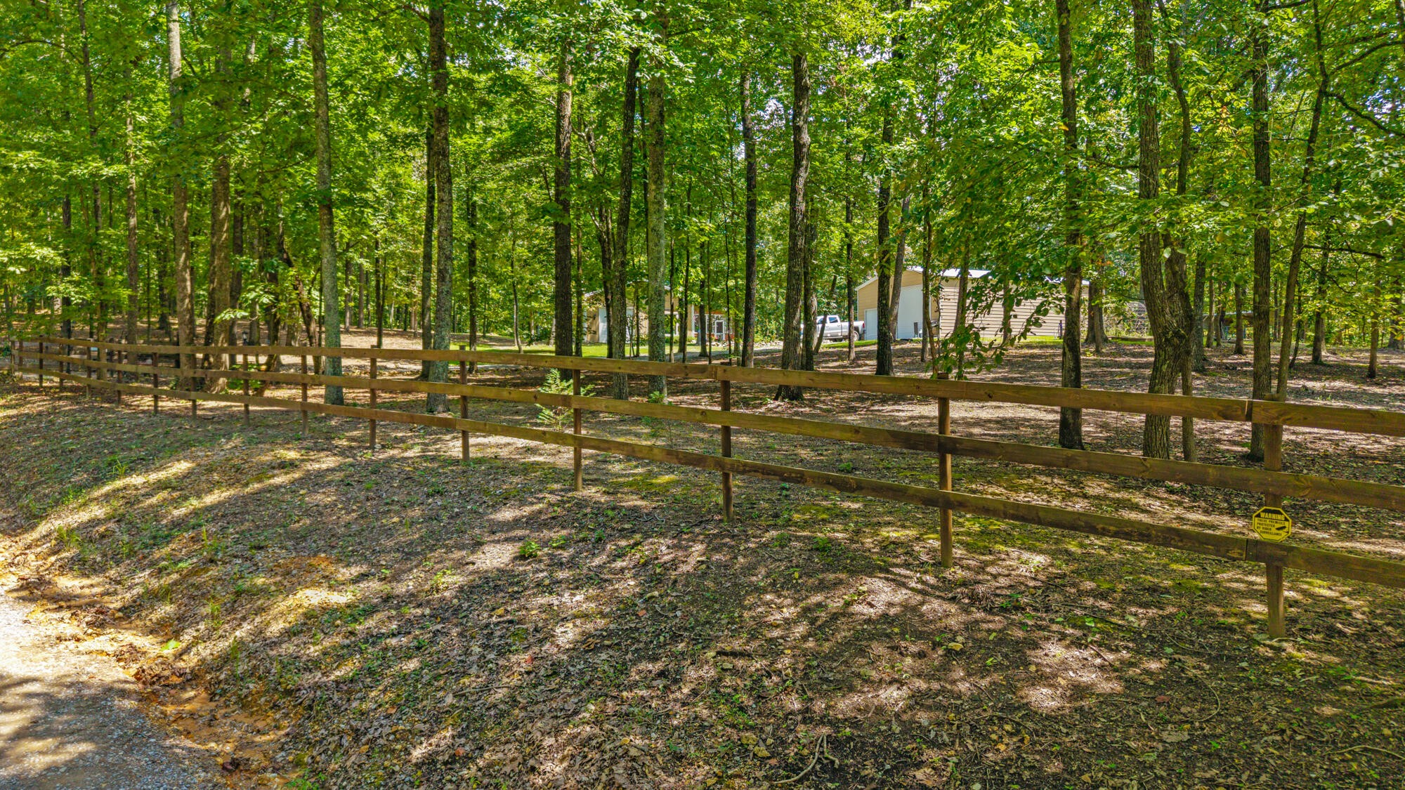 63 County Road 100 Decatur, TN 37322 - Photo 6 of 47 a view of a yard with large trees
