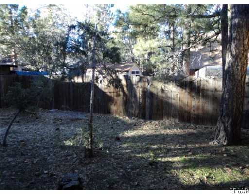 486 Riverside Avenue Sugarloaf, CA 92386 - Photo 8 of 10 View Rear.