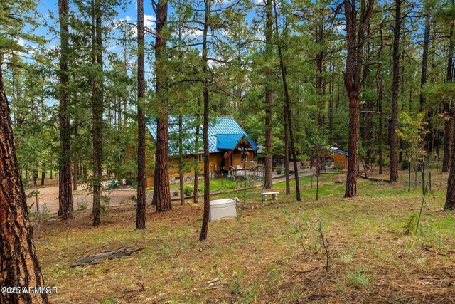 $774,990 | 2 County Road 2081, Alpine, AZ 85920