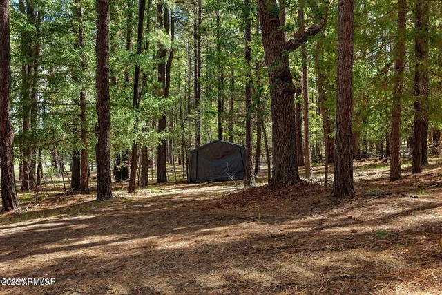 $774,990 | 2 County Road 2081, Alpine, AZ 85920