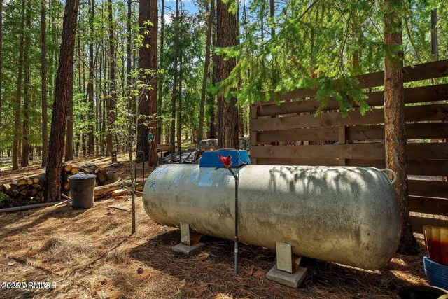 $774,990 | 2 County Road 2081, Alpine, AZ 85920