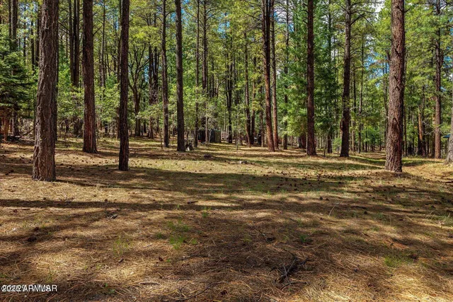 $774,990 | 2 County Road 2081, Alpine, AZ 85920