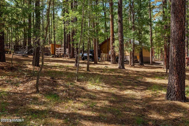 $774,990 | 2 County Road 2081, Alpine, AZ 85920