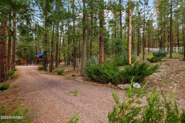 $774,990 | 2 County Road 2081, Alpine, AZ 85920
