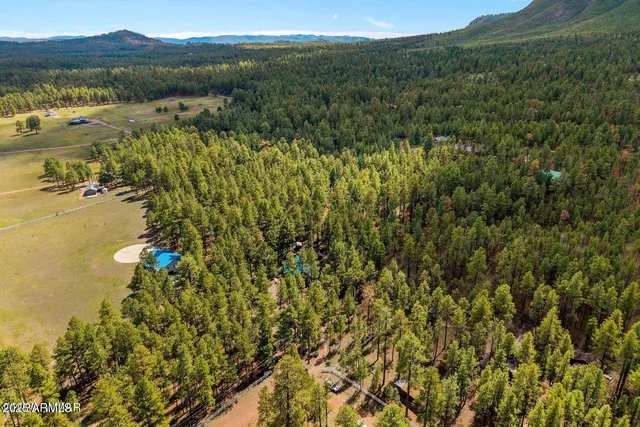 $774,990 | 2 County Road 2081, Alpine, AZ 85920