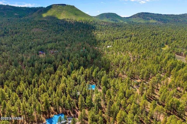 $774,990 | 2 County Road 2081, Alpine, AZ 85920